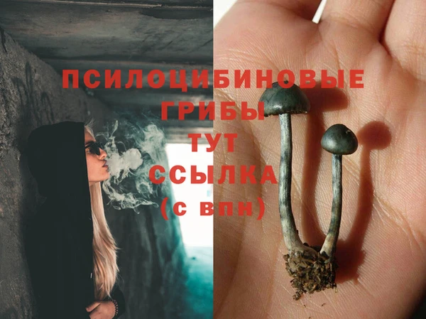 шишки Абинск