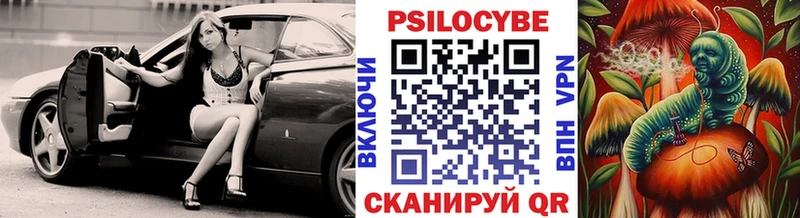 где купить наркоту  Яблоновский  Псилоцибиновые грибы Psilocybine cubensis 